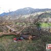Monatsübung April