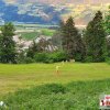 Monatsübung Juni