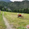 Monatsübung Juni